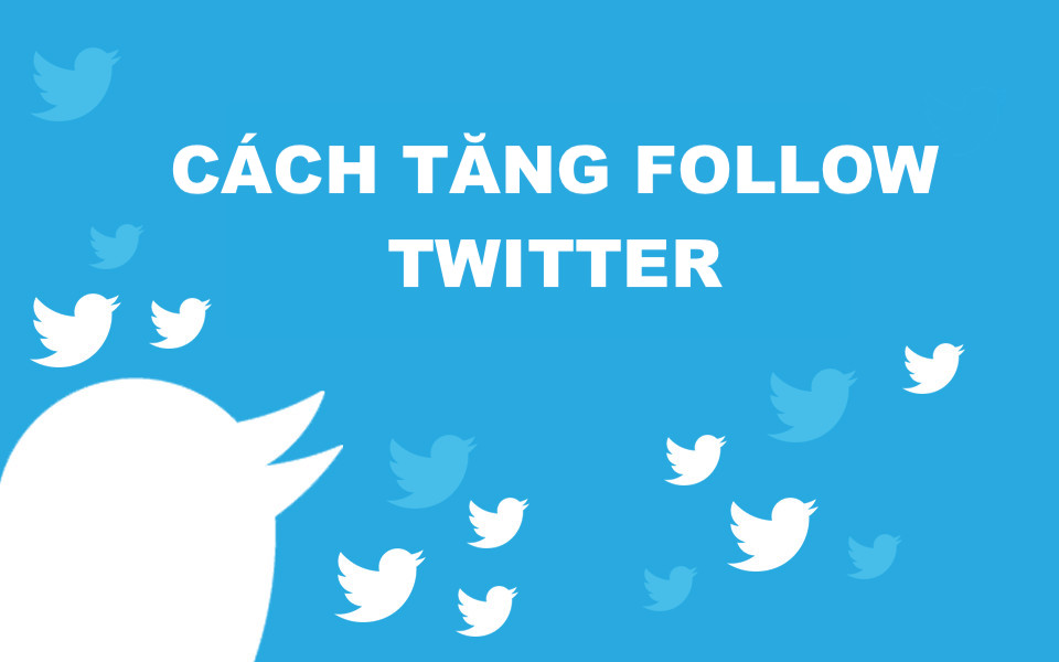 Cách Tăng Sub Twitter Miễn Phí Nâng Cao Độ Phủ Sóng